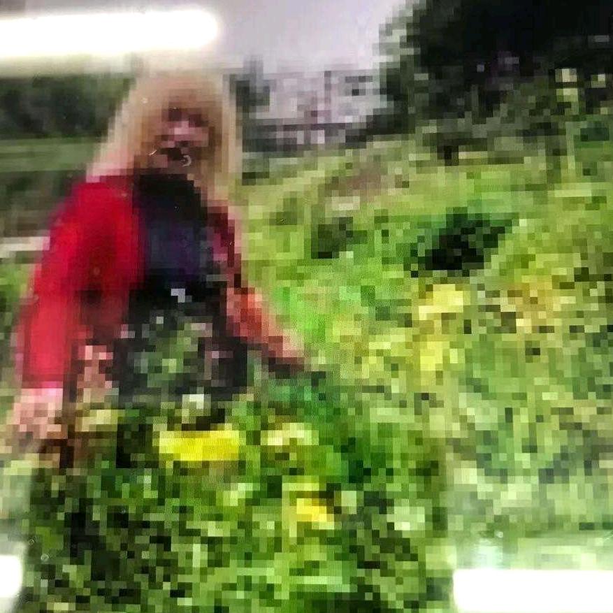 张甘银308
