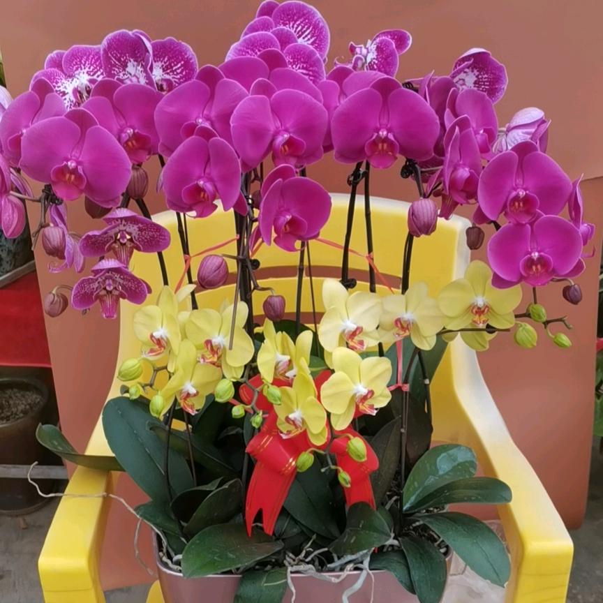 慕恩国际服装店