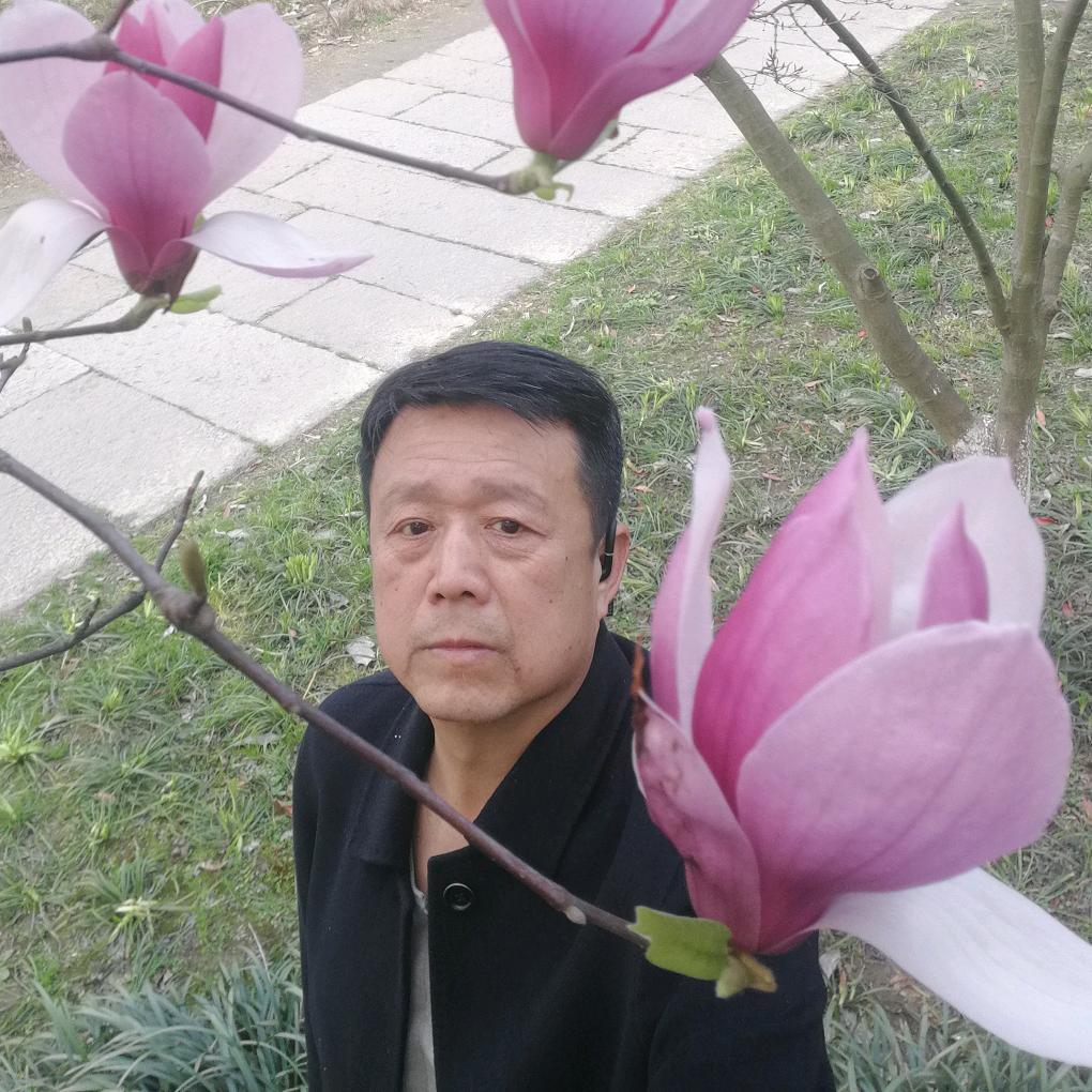 我心依然