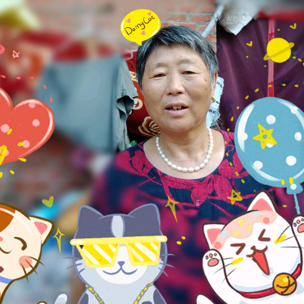 黎晨的小鹿