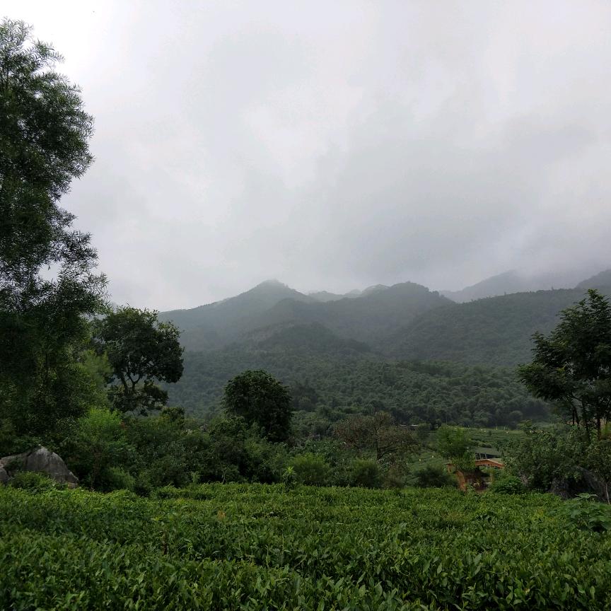石门长沙往返