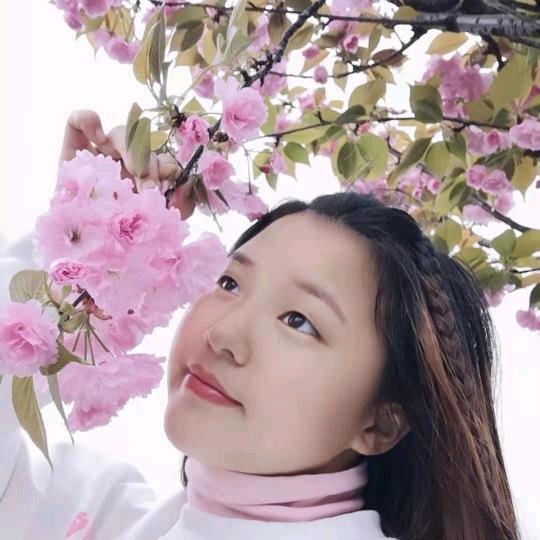 🌈段妹儿🌈