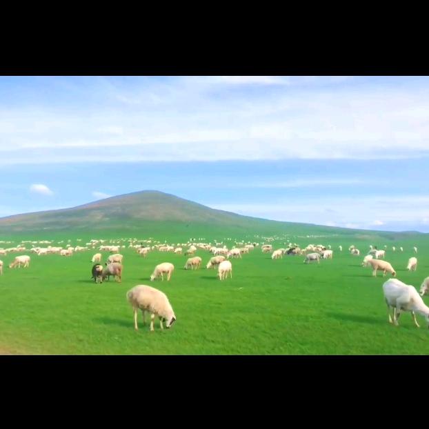 呼伦贝尔。户外运动策划，大海。