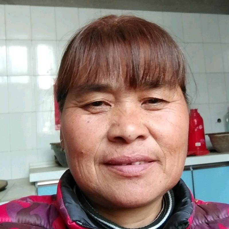 愤怒的小鸡