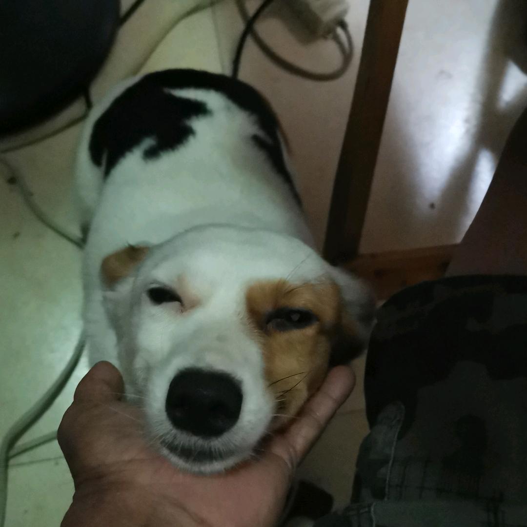 漫十九（贪玩好耍）