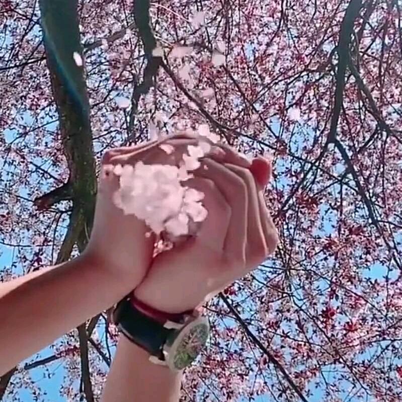 @独醉＠笺清楓^O^★