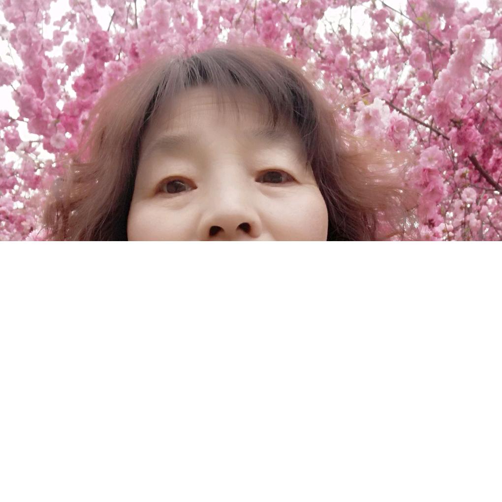 小鸟依人在流浪