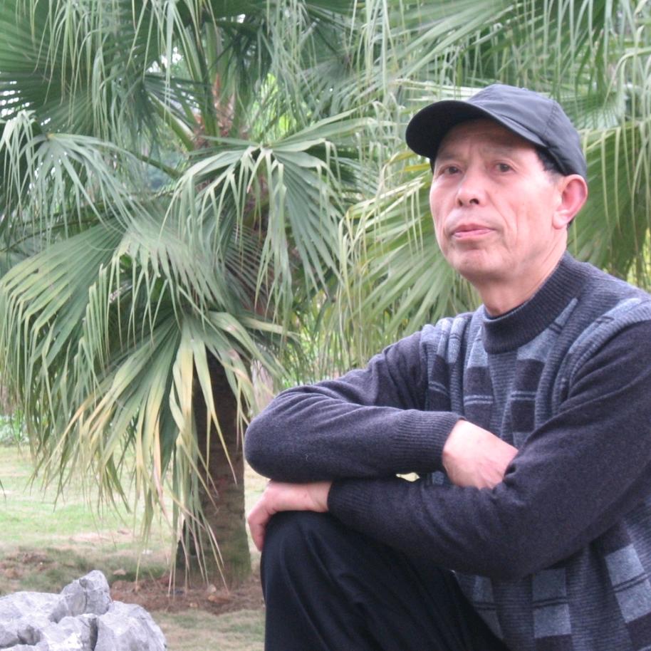 陈鲁琪