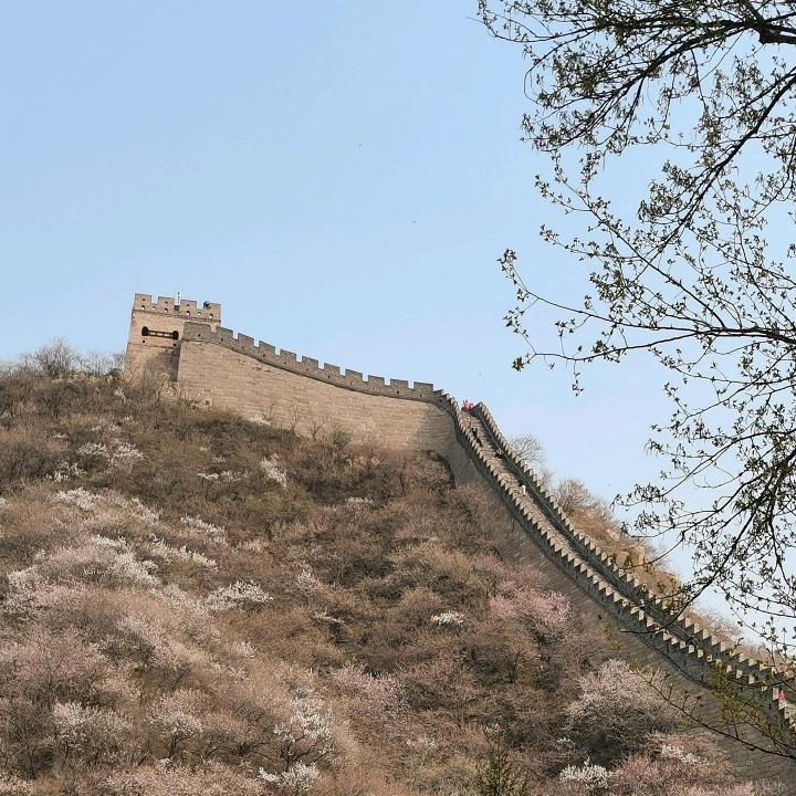 向前看