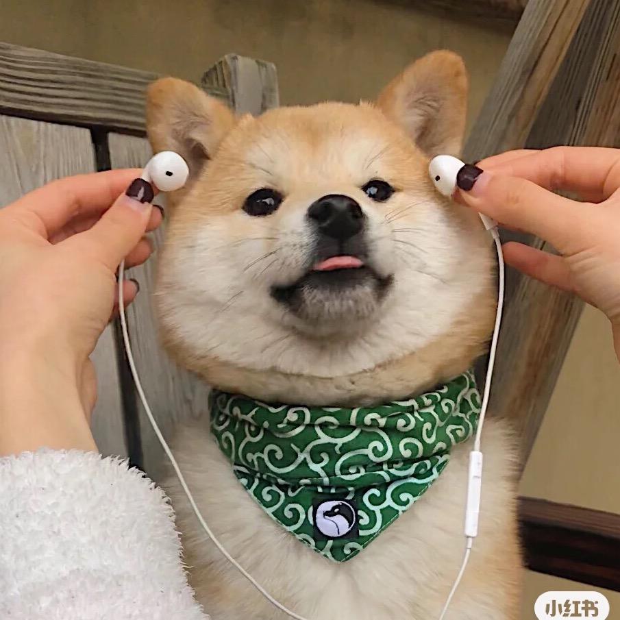 恋爱选择题@抖音