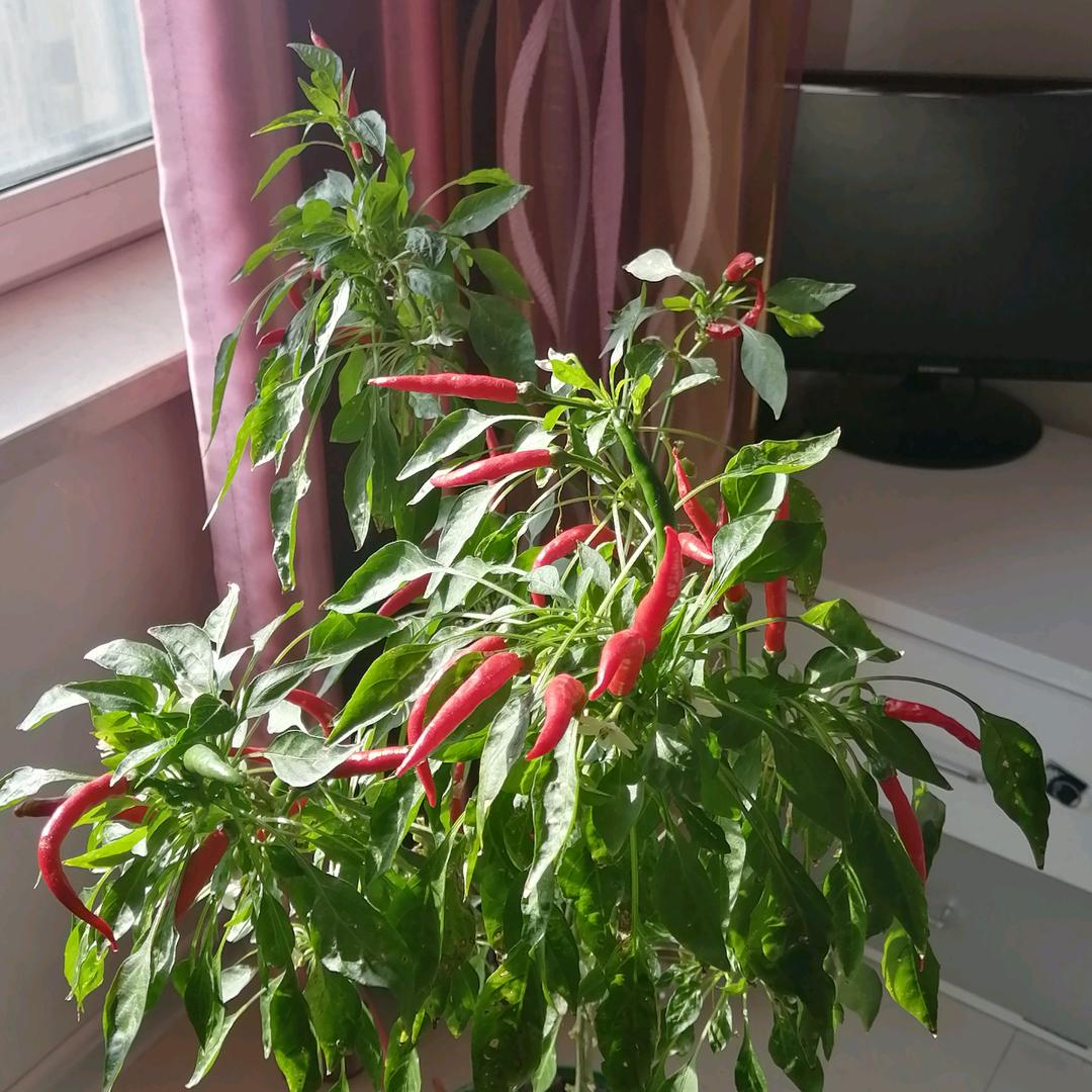 友意防水劳务有限公司