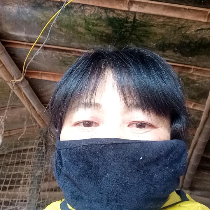 李保凤