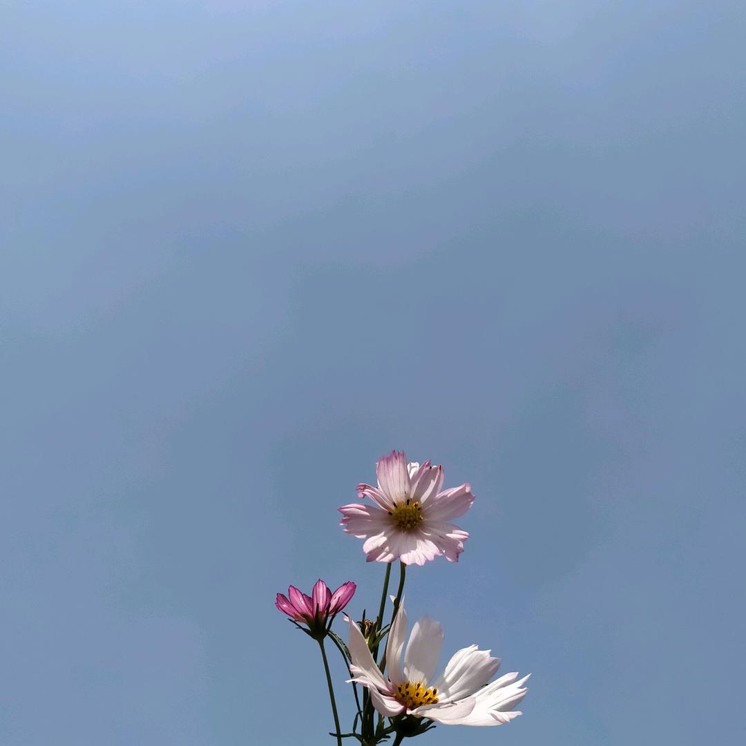 用户，，珍惜一生。。。