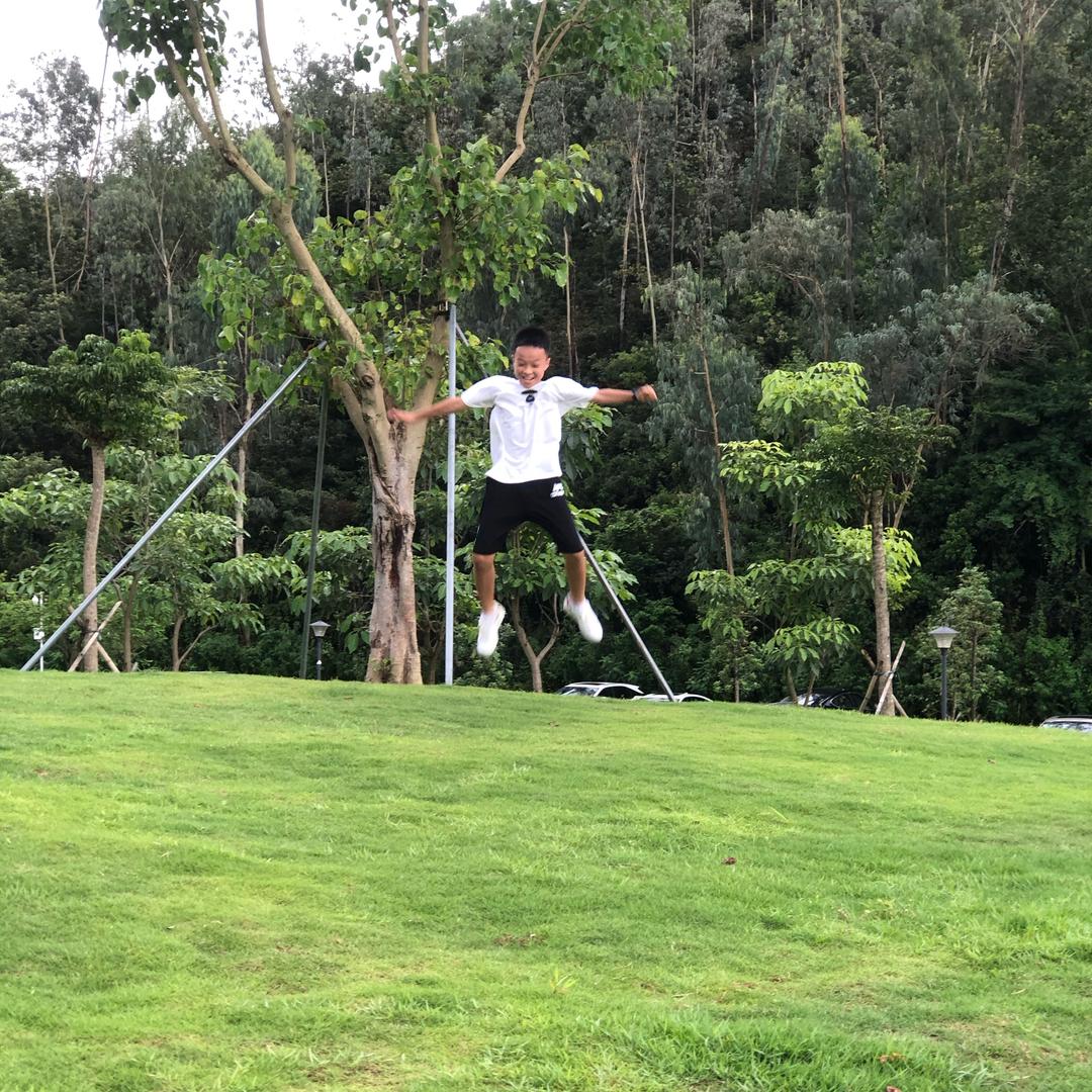 但愿飞得更高