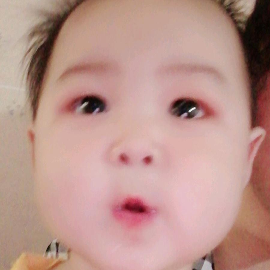 成都玫瑰