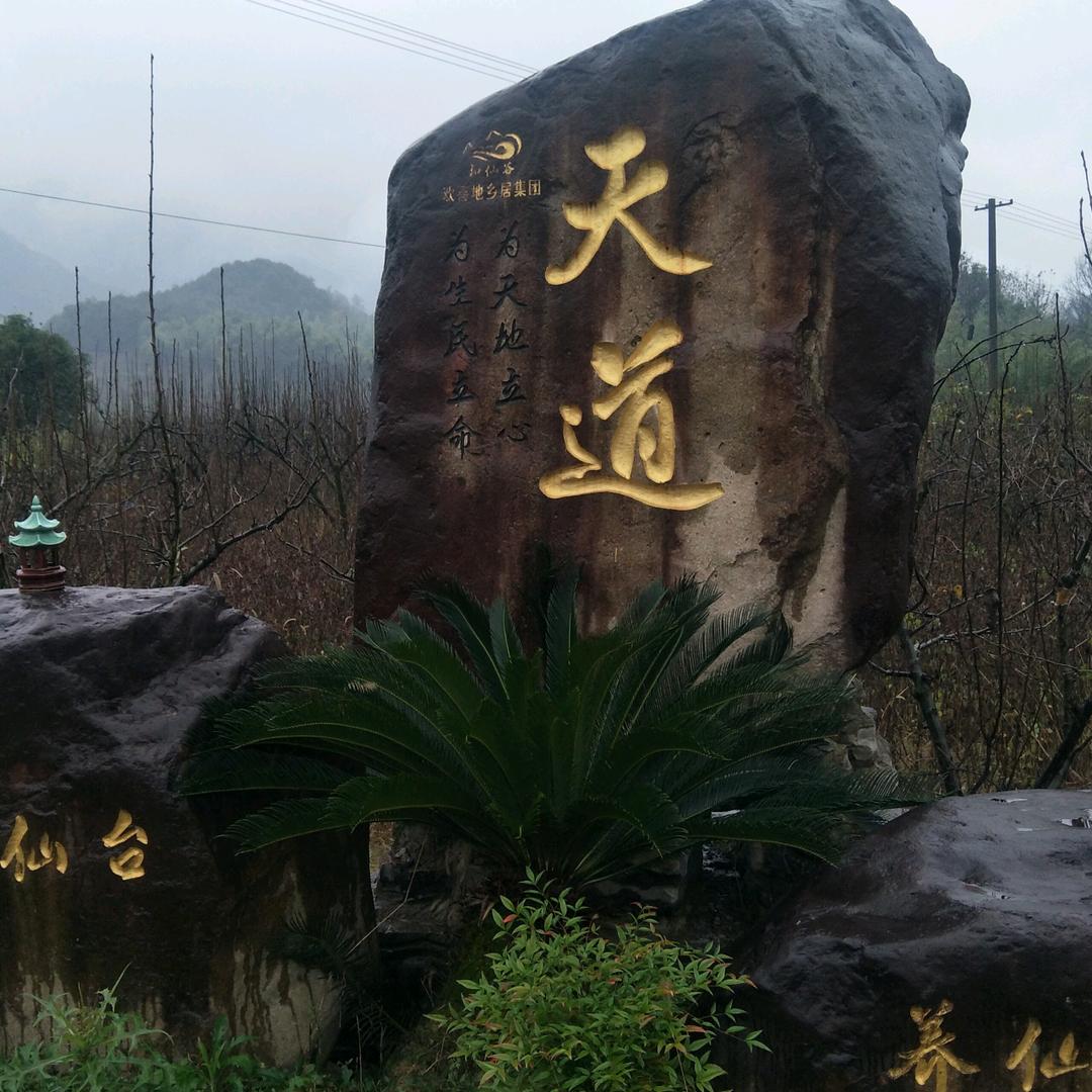 小大象