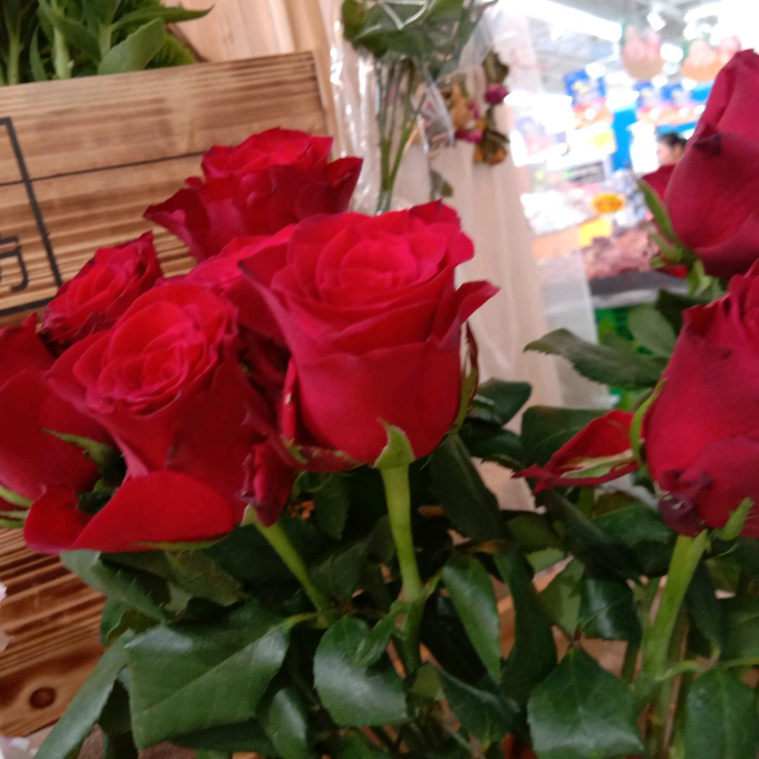 微微一笑很倾城。。