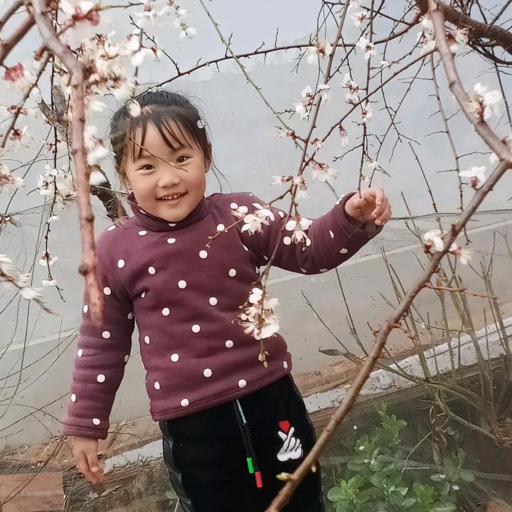 可爱