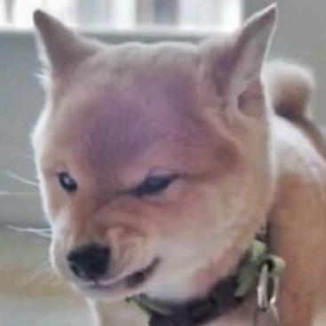 陕西蔬菜代办严静