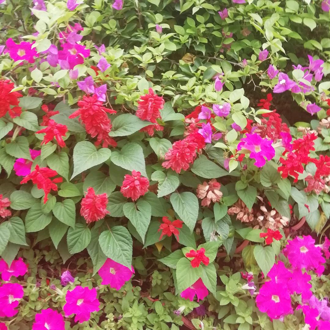 ∵