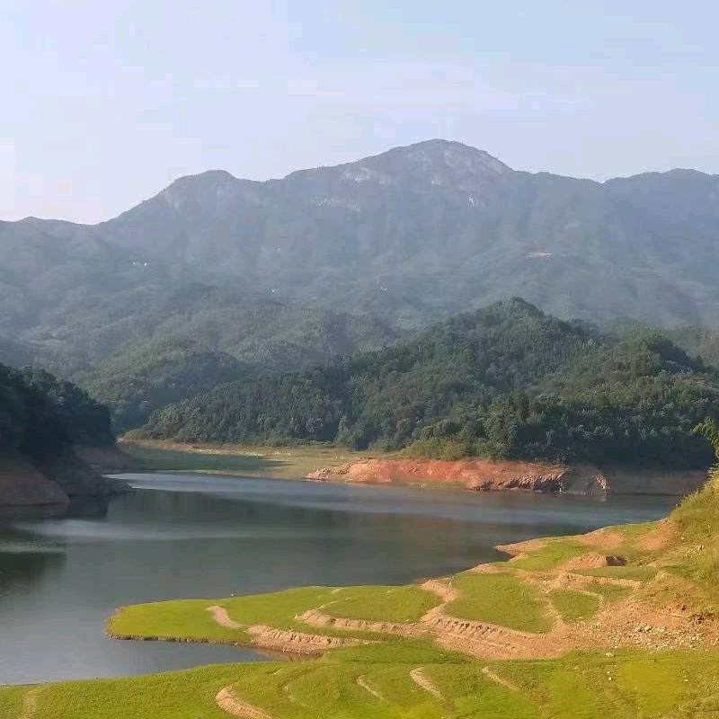 用户452508946619