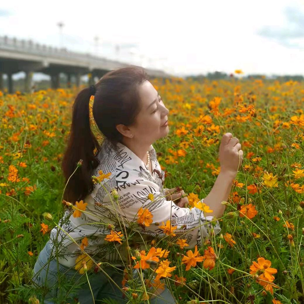 淡泊