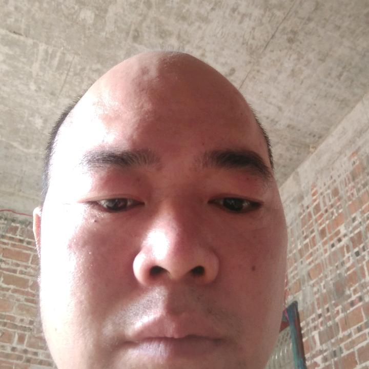 情与意