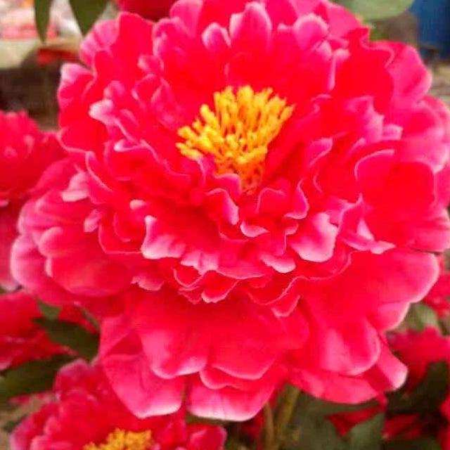 一生有你就足够