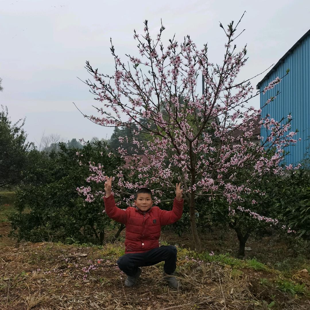 家和万事兴