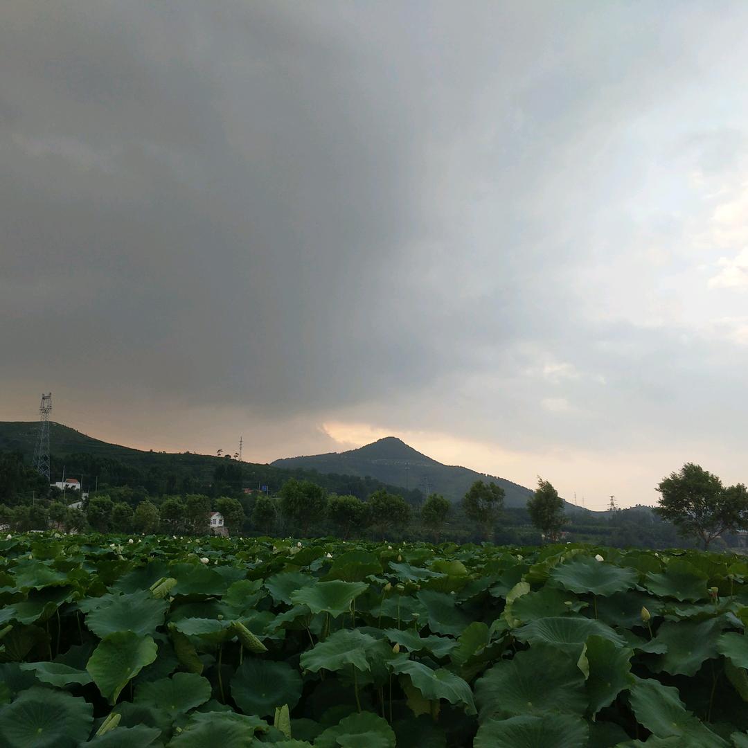 孟