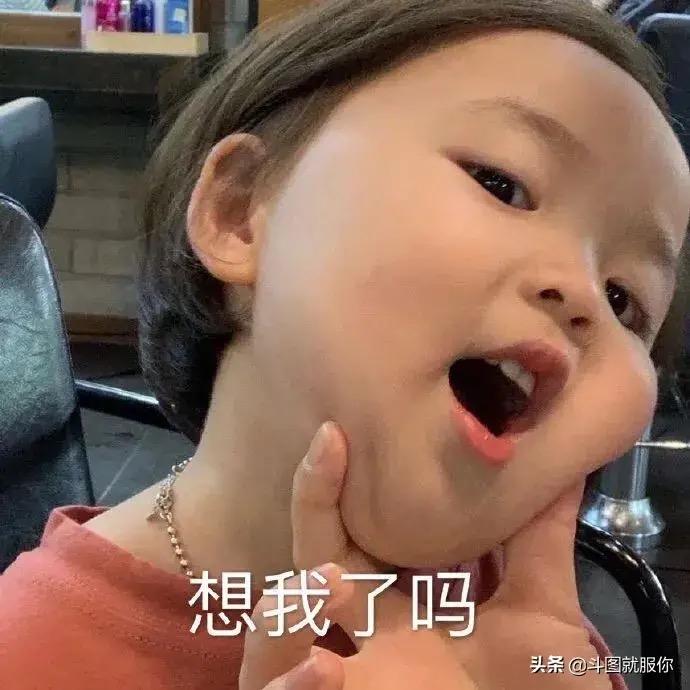 憨逗🐶