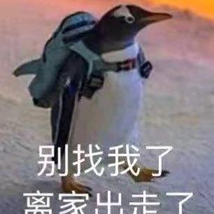 鱼先生你好