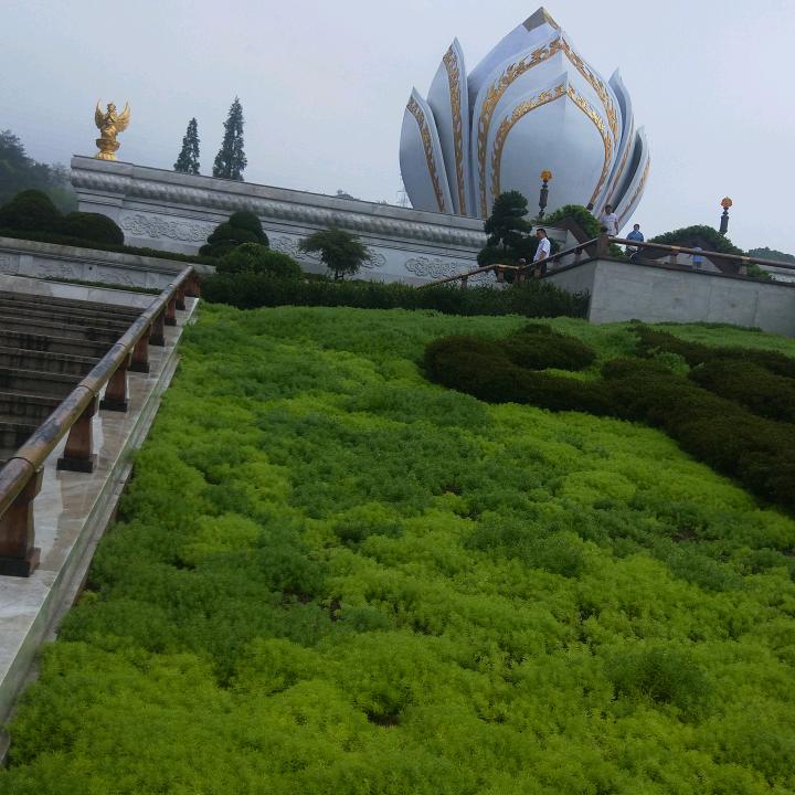 红红