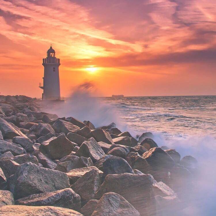 东邪—桃花岛主