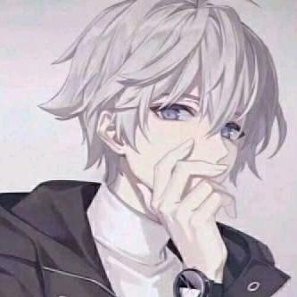 小鱼新