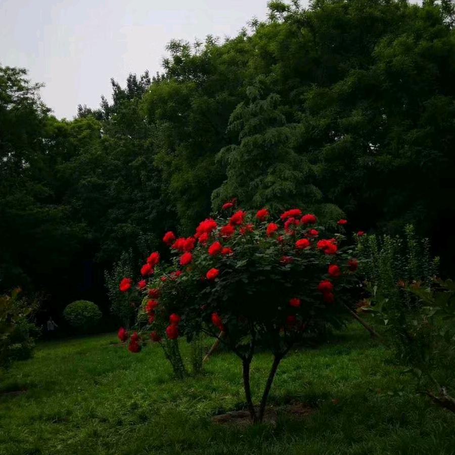 两块半头砖
