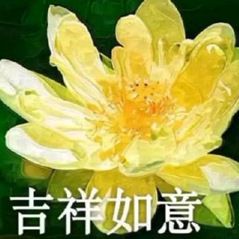 兰馨