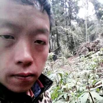 湖南今夜暗号