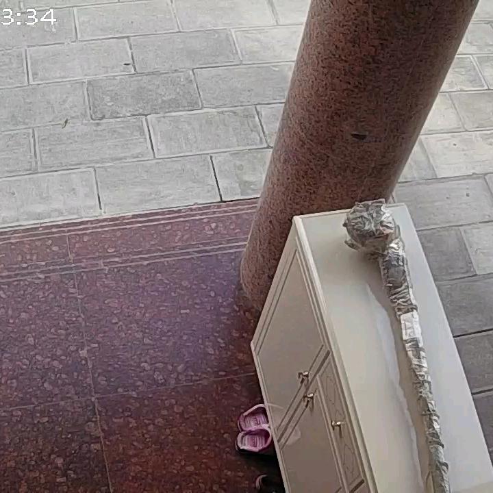 晨