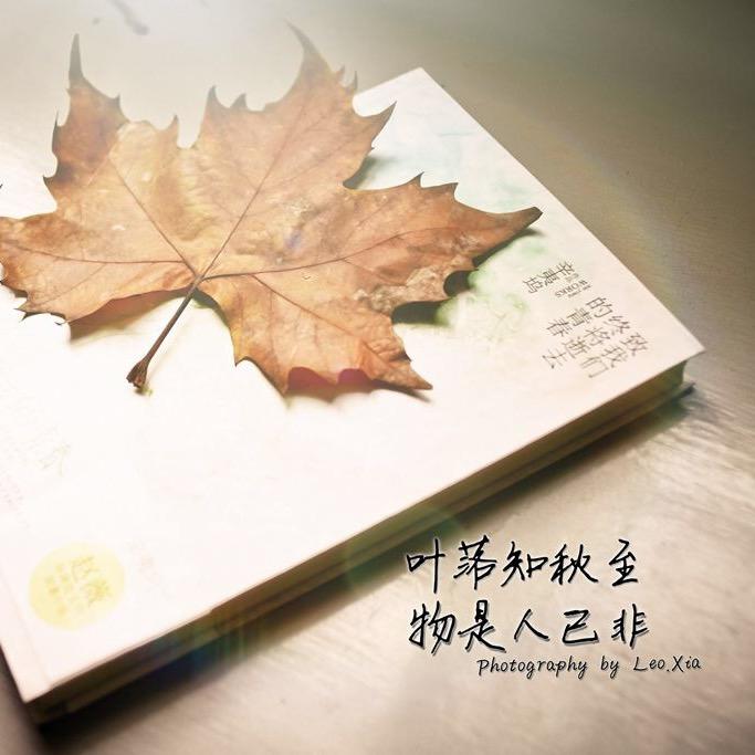 忆、暮。