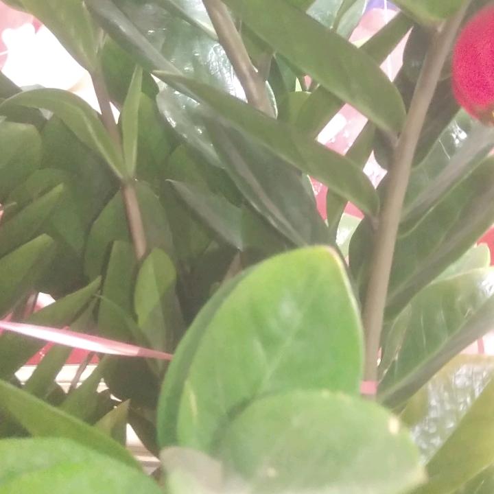 8十|