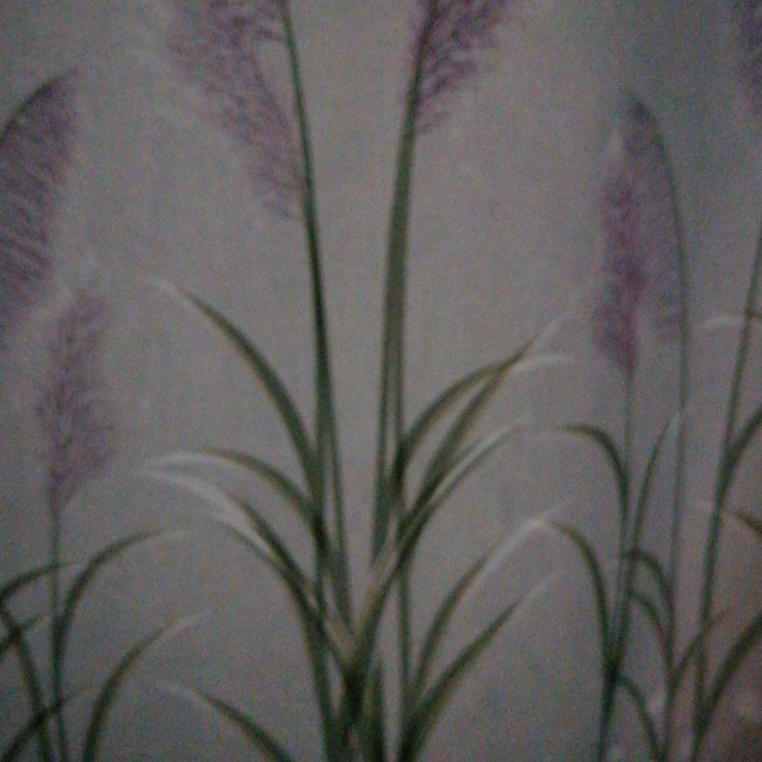 鑫妈