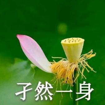 翠翠起飞