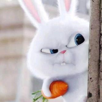 叶兔兔🐰