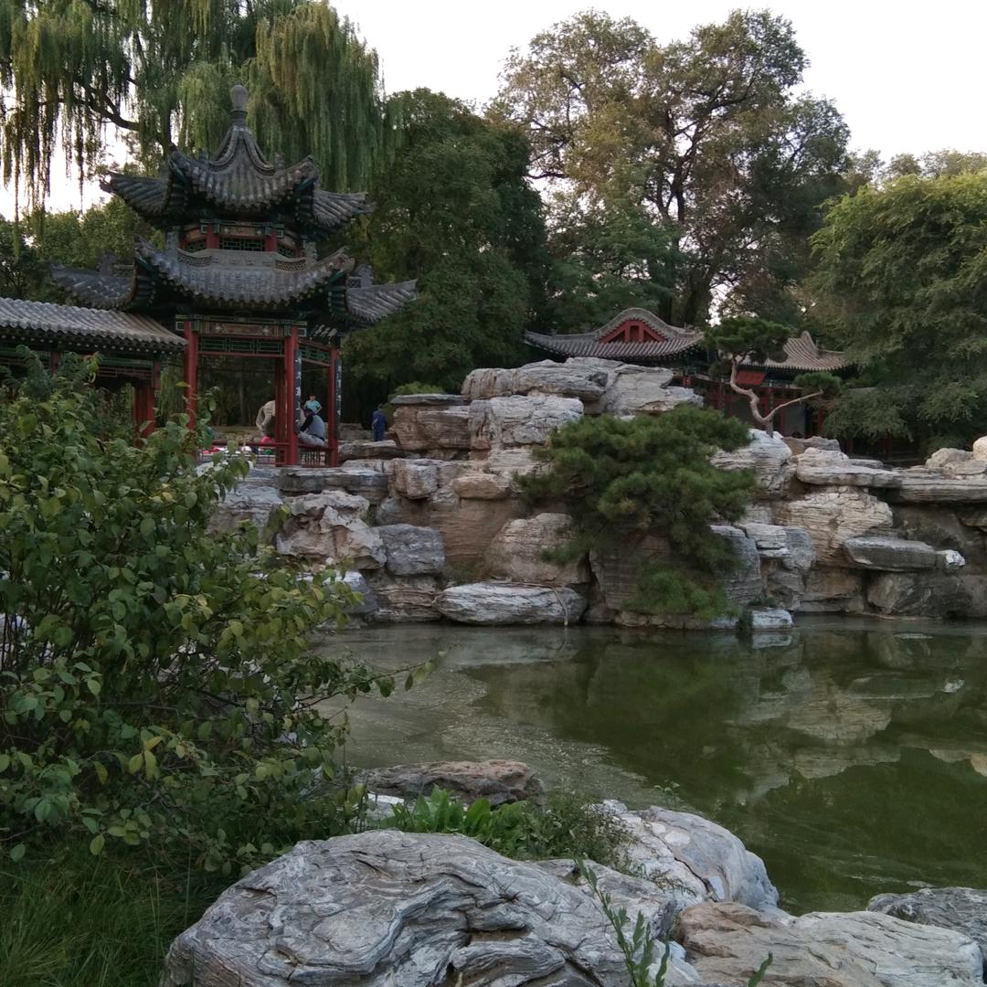 开心果