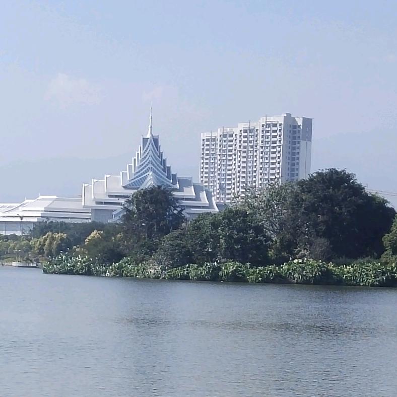 爱吃濠江鱼头像