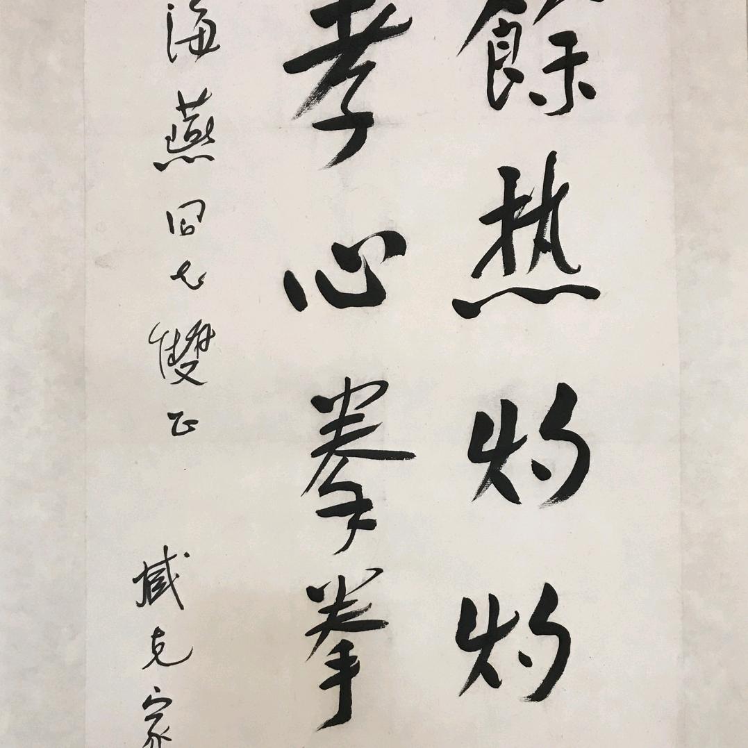 鑫淼宠物