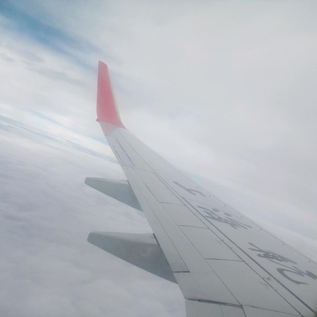 蝴蝶