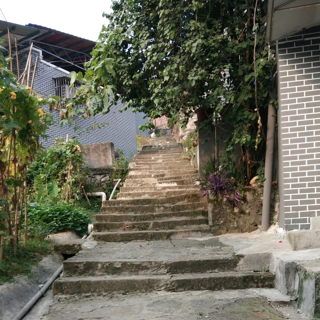 用户慧慧