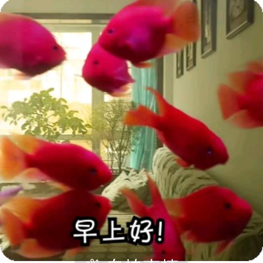 @阳光🌻
